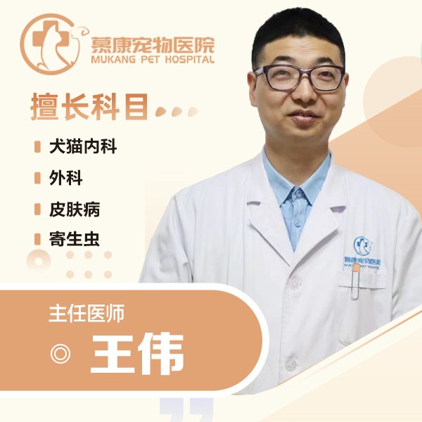 王伟医生